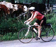Inge
            and the cows in Missouri