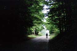 A cyclist leaves a
            tunnel of trees along South Right of Way Road.