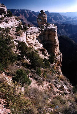 The Grand Canyon is filled with geological wonders.